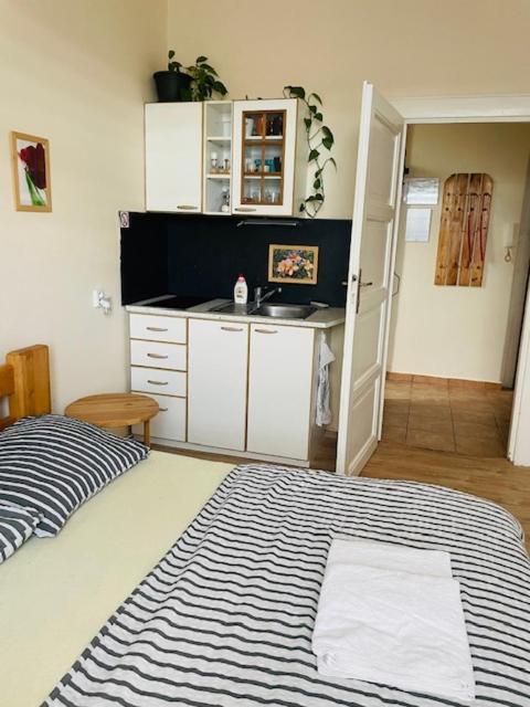 Apartment Lucian Prag