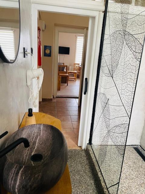 Apartment Lucian Prag